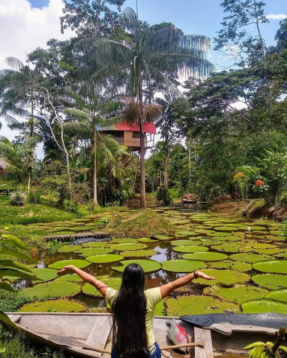 Selva amazónica con palafito y víctoria regia
