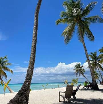 Palmeras en la playa, Punta Cana