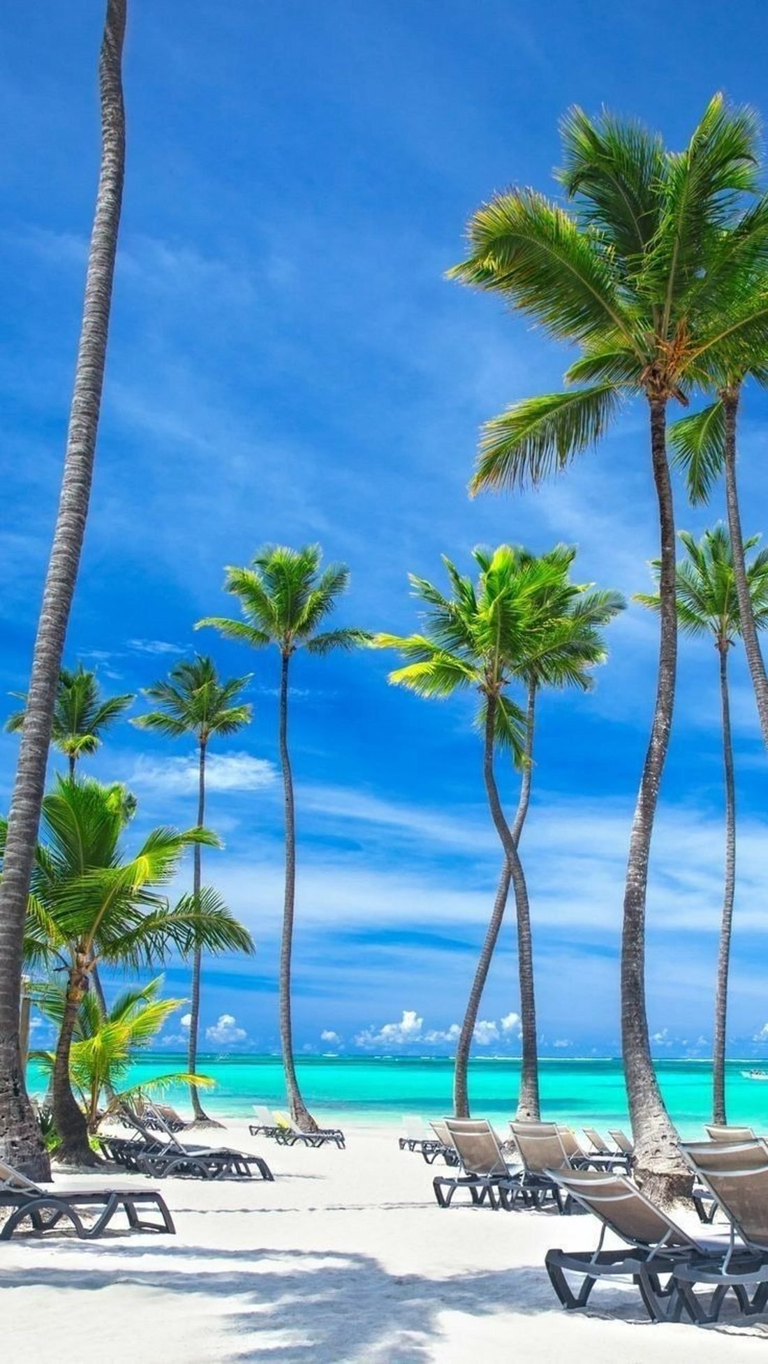 Playa de palmeras en República Dominicana