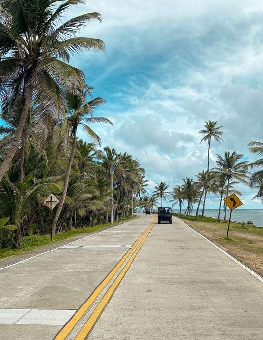 Carretera entre palmeras, San Andrés
